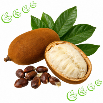 Cupuacu Butter 100 g